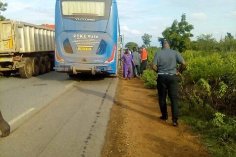 WhatsApp Image 2025-08-14 à 16.42.48_80b8574c